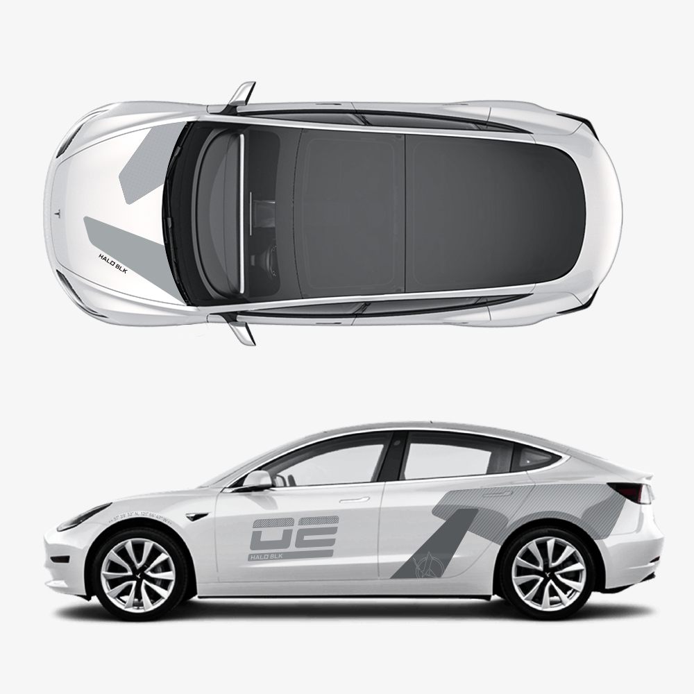 Custom Livery Sticker for Tesla Model 3