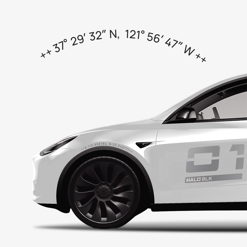 Custom Livery Sticker for Tesla Model 3